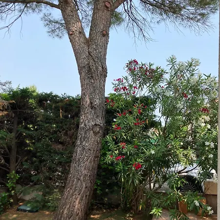 Coeur De Maison Villa *